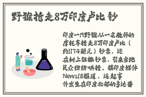 福利在线天天看